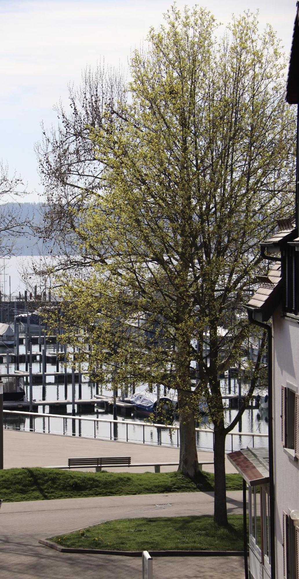 Gästehaus Mäder Am Hafen Uhldingen-Mühlhofen Exterior foto