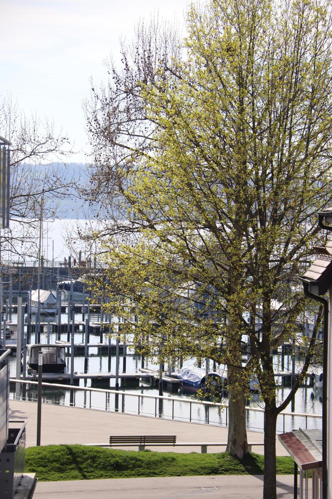 Gästehaus Mäder Am Hafen Uhldingen-Mühlhofen Zimmer foto