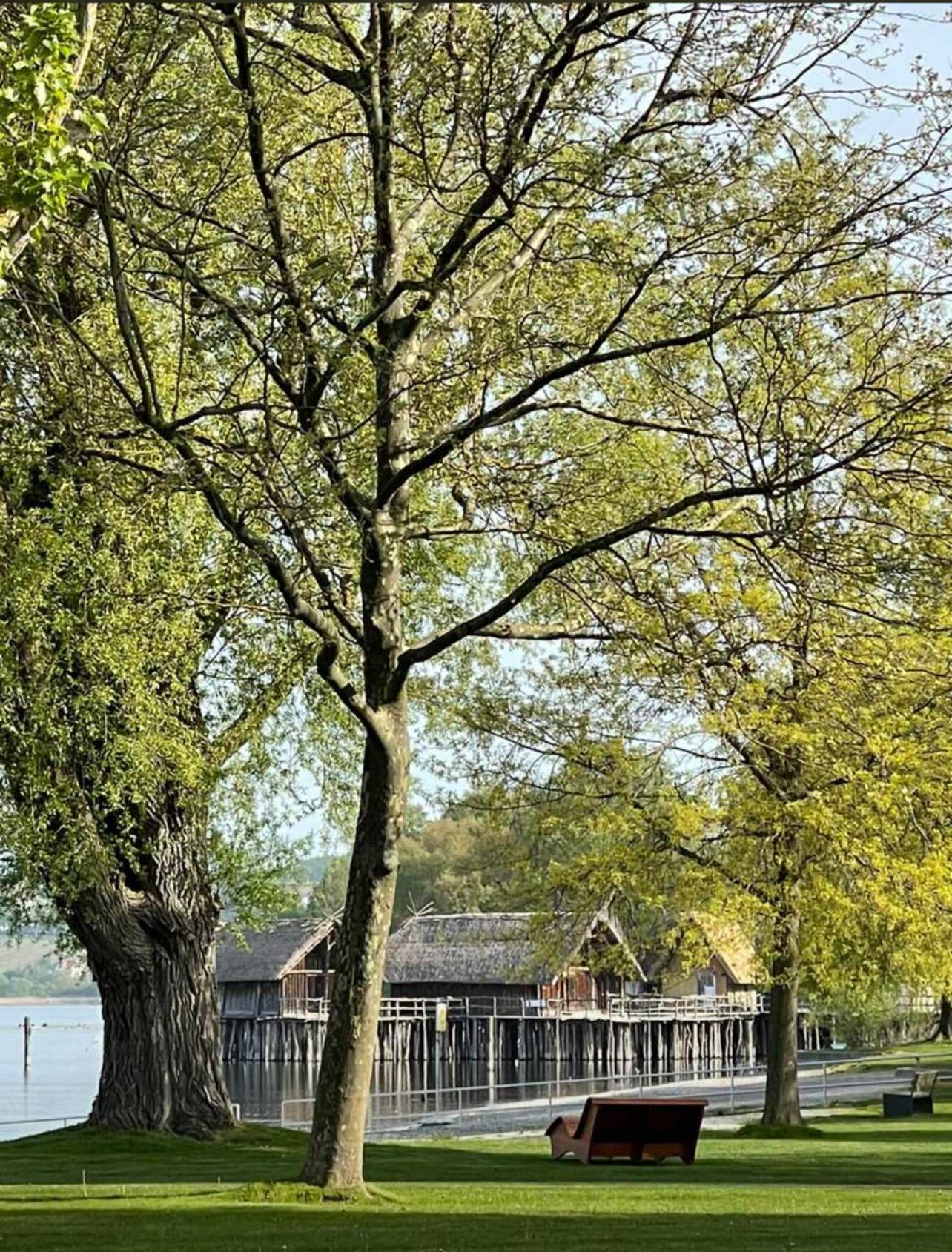 Gästehaus Mäder Am Hafen Uhldingen-Mühlhofen Exterior foto